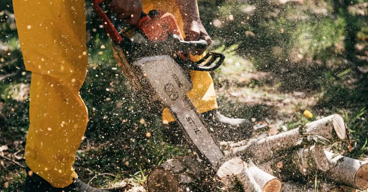 Best electric saw for cutting trees