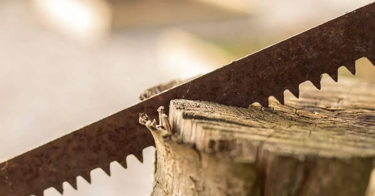 the best hand saws for trees
