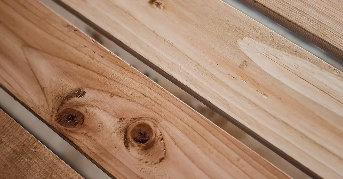 7 of the Best Wood Planers: Which One Is the Right Fit for You?