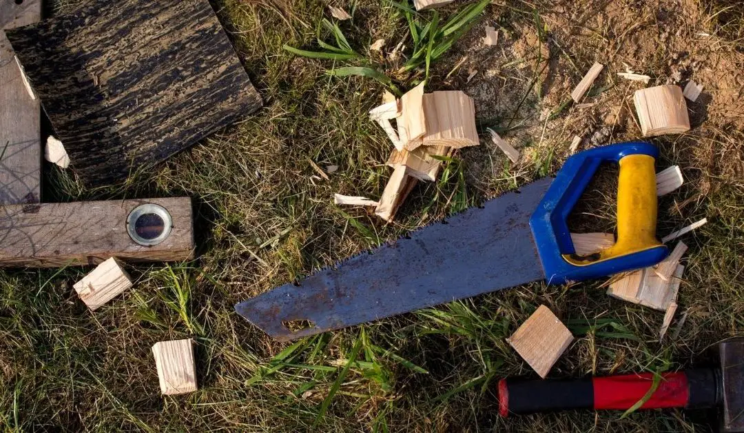 16 Types of Handsaw: Which Saw Should You Choose?