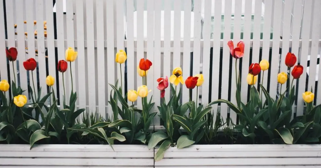 7 Steps On How To Drill Into Vinyl Fence