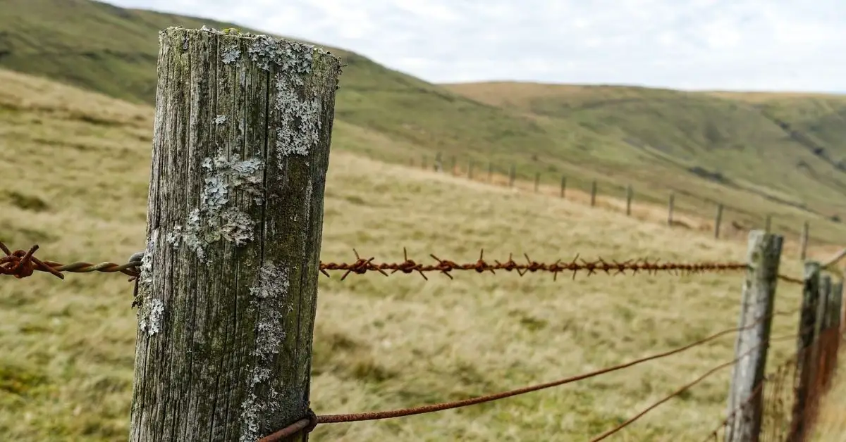 Can You Drill Into Concrete Fence Posts?