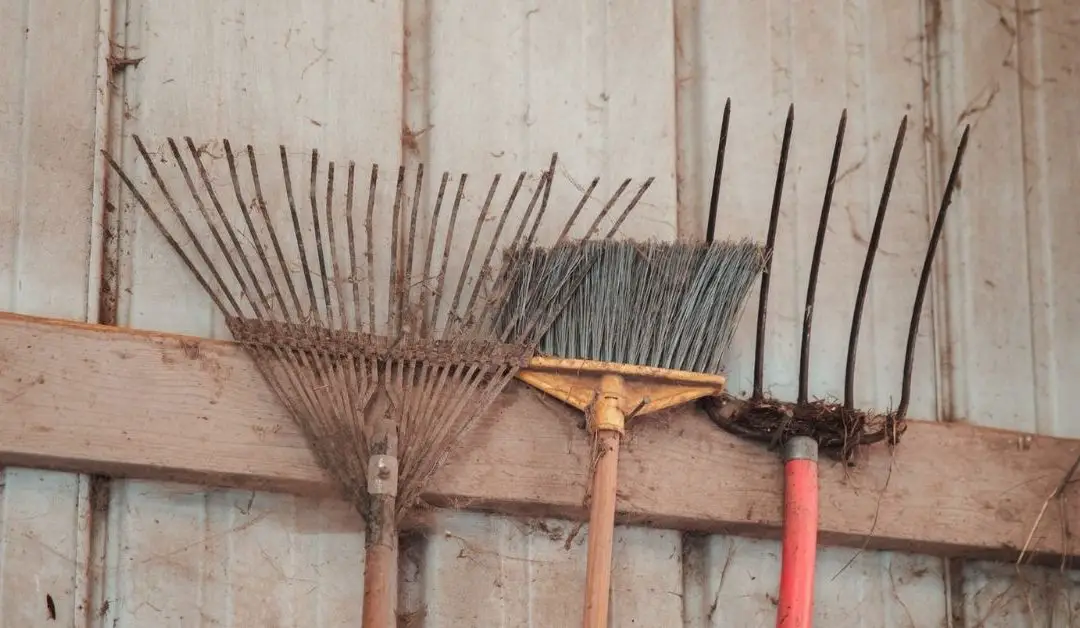 19 Types of Rake: Basic Gardening and Landscaping Tools