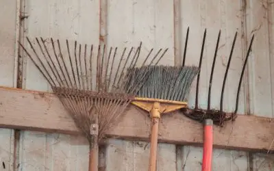 19 Types of Rake: Basic Gardening and Landscaping Tools