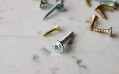 22 Types of Screws: Which One Should You Use