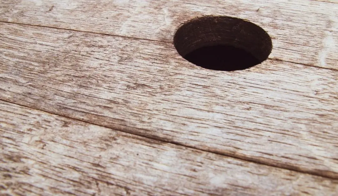 How to Drill a Curved Hole in Wood: 8 Easy Steps