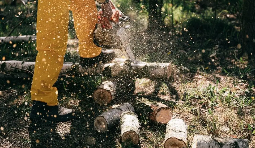 How to Store Chainsaw Without Oil Leaking: 9 Clever Steps