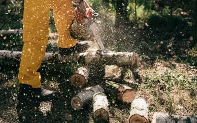 How to Store Chainsaw Without Oil Leaking: 9 Clever Steps